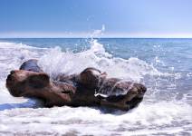 Michael LAZARO - Adgence Communication - BONENGOO SAS