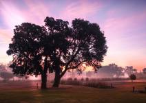 Michael LAZARO - Adgence Communication - BONENGOO SAS