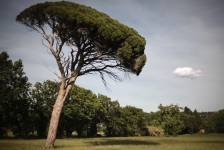 Michael LAZARO - Adgence Communication - BONENGOO SAS