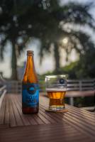 Charly CARDUNER - Visual Light